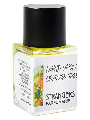 Lights Upon Orange Tree