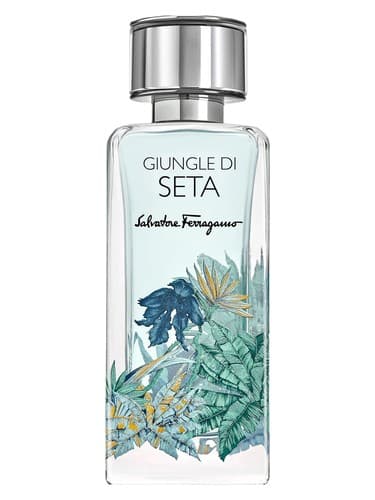 Giungle di Seta - جونگل دی ستا