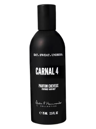 Carnal 4 - نفسانی 4