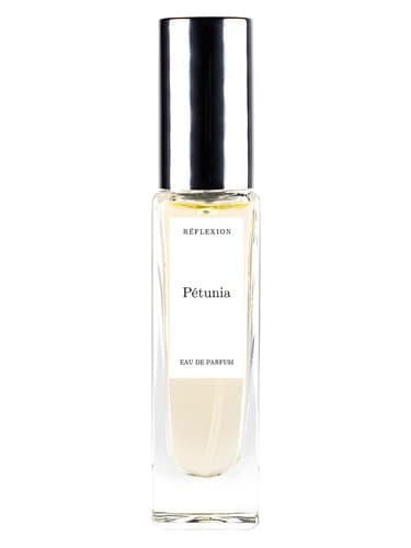 Pétunia - پتونیا