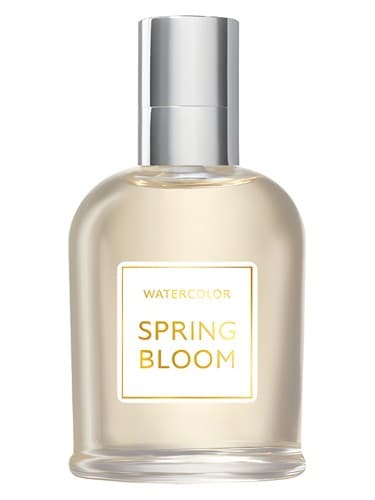 Spring Bloom