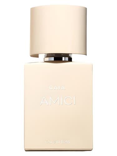Amici - آمیسی