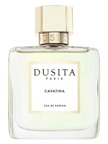 Cavatina - کاواتینا