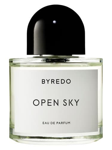 Open Sky