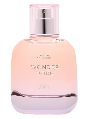 Wonder Rose Summer - واندر رز سامر