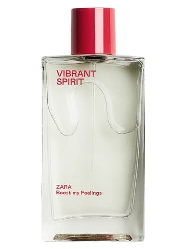 Vibrant Spirit - روح پر جنب و جوش
