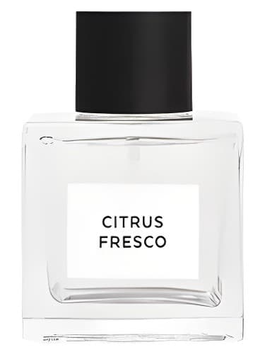 Citrus Fresco - نقاشی دیواری مرکبات