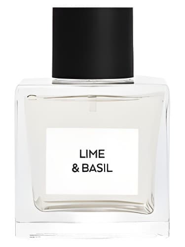 Lime & Basil - آهک و ریحان