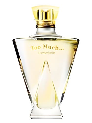 Too Much - خیلی زیاد
