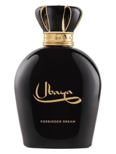 Forbidden Dream - خواب ممنوع
