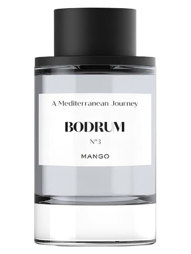 Bodrum N°3 - بدروم شماره 3