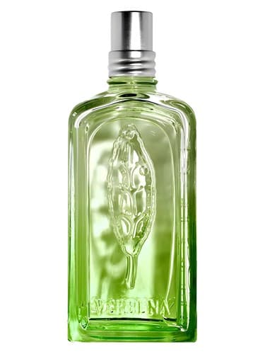 Verveine Cactus - کاکتوس وروین
