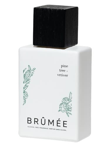 Pine Tree + Vetiver - درخت کاج + وتیور