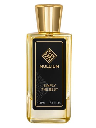 simply the best for men - به سادگی بهترین برای مردان
