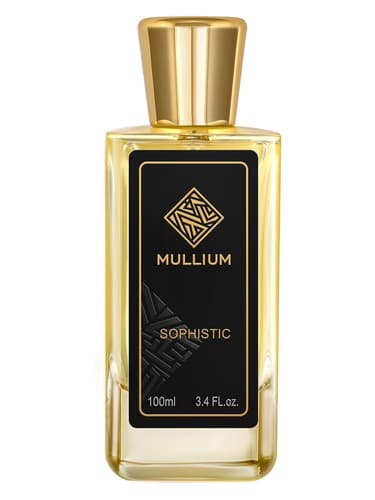 sophistic - سوفسطایی