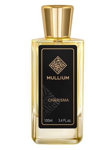 charisma - کاریزما