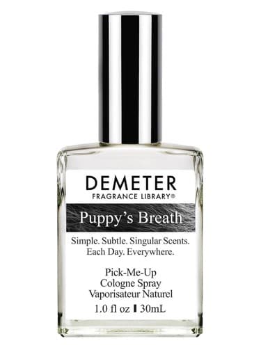 Puppy's Breath