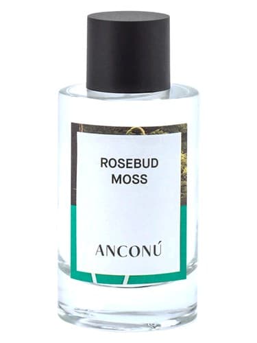 Rosebud Moss - رزباد ماس