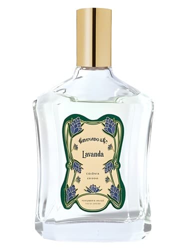 Lavanda - لاواندا