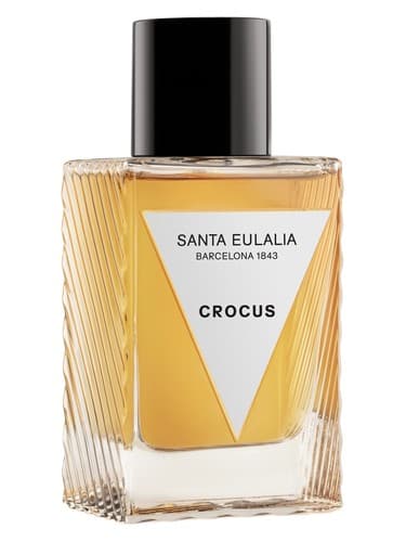 Crocus - کروکوس