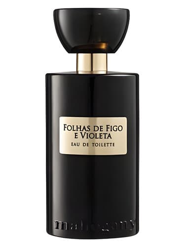 Folhas de Figo e Violeta - فولهاس د فیگو و ویولتا
