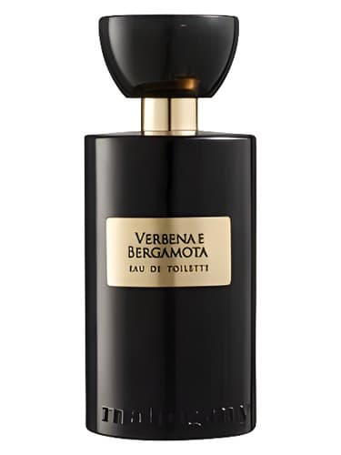 Verbena e Bergamota - وربنا و برگاموتا
