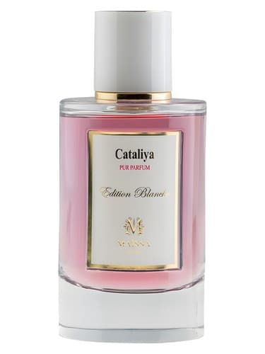 Cataliya - کاتالیا