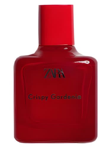 Crispy Gardenia