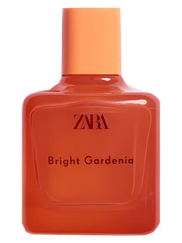 Bright Gardenia