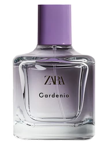 Gardenia - گاردنیا