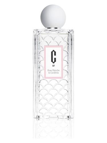 Rose Blanche & Gardénia