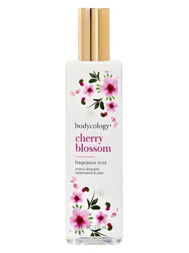 Cherry Blossom
