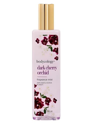 Dark Cherry Orchid - ارکیده چری تیره