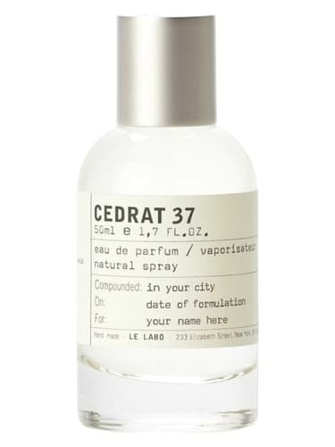 Cedrat 37 Berlin - سدرات 37 برلین