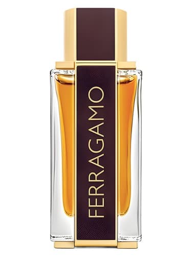 Ferragamo Spicy Leather - چرم تند فراگامو