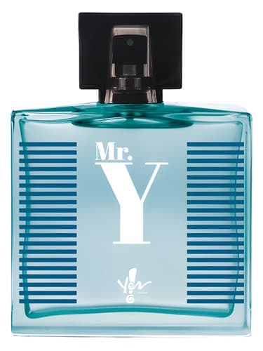 Mr. Y
