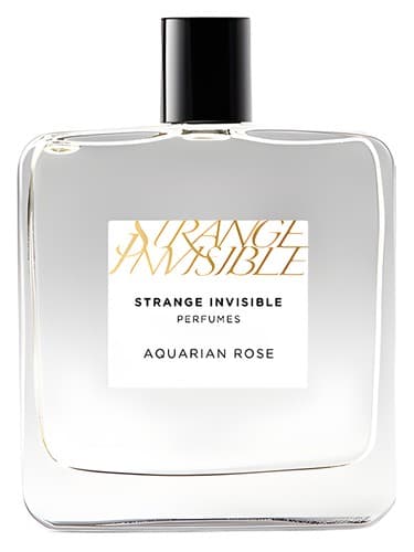 Aquarian Rose
