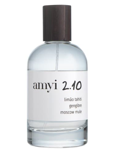 Amyi 2.10 