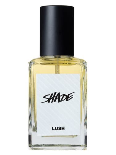 Shade - شدو
