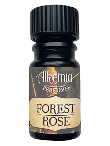 Forest Rose - رز جنگلی