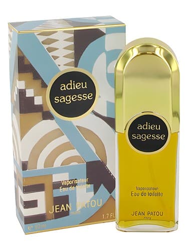 Adieu Sagesse - خداحافظ ساجس