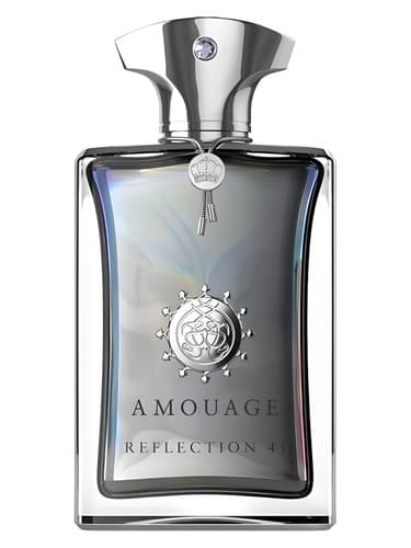 Reflection 45 Man - انعکاس 45 من
