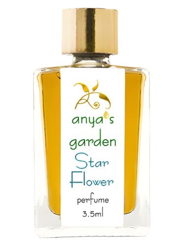 Star Flower - گل استار
