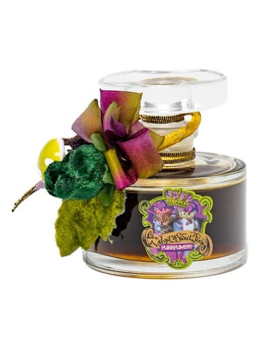 Pangolin Violette Rose - پانگولین ویولت رز