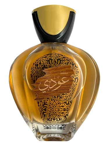 Oudi - عودی