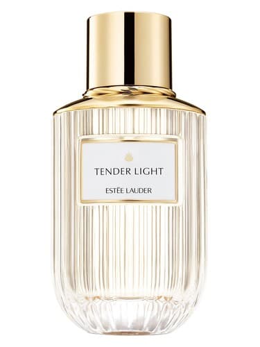 Tender Light - نور مناقصه