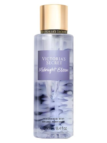 Midnight Bloom - شکوفه نیمه نایت