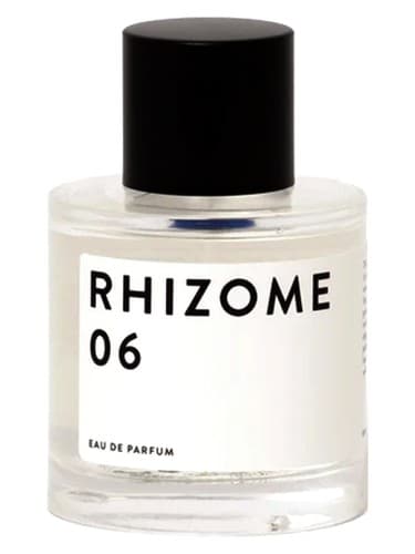 Rhizome 06