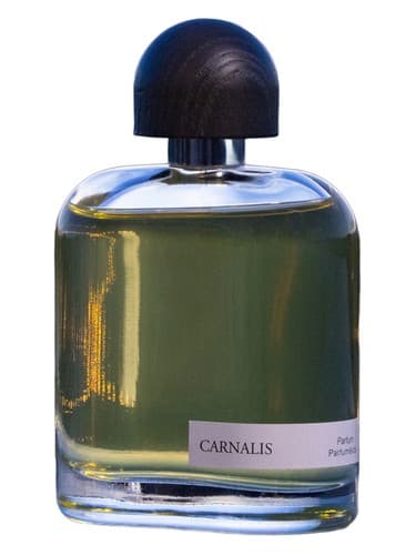 Carnalis - کارنالیس