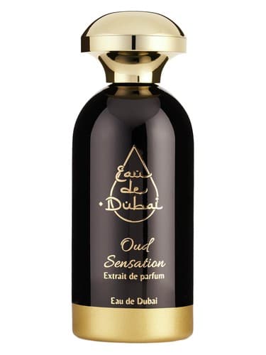 Oud Sensation - حس عود